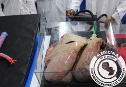 1º Congreso de Histologia UCP (48)